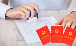 Nguyên nhân nào dẫn đến tranh chấp hợp đồng chuyển nhượng quyền sử dụng đất?