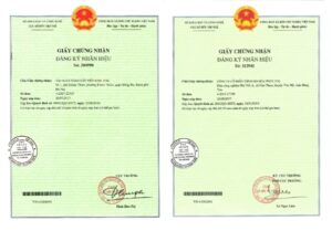 Mẫu giấy chứng nhận đăng ký nhãn hiệu hợp pháp