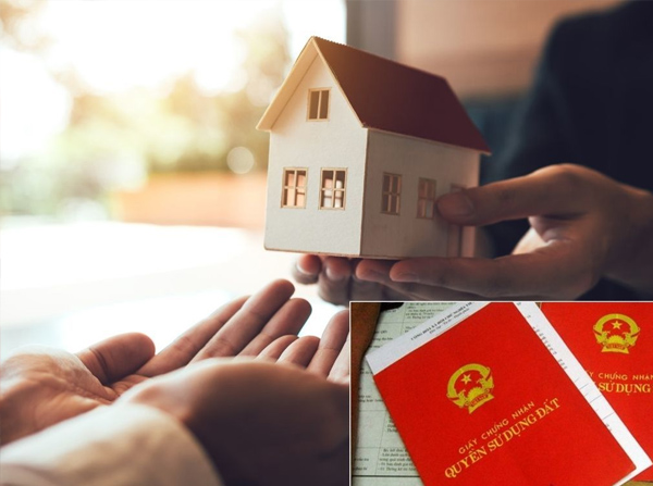 Bố mẹ tặng cho đất cho con thuộc diện miễn thuế