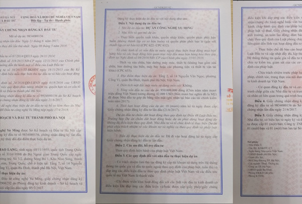 Giấy chứng nhận đăng ký đầu tư xác nhận việc đăng ký thực hiện dự án đầu tư tại Việt Nam