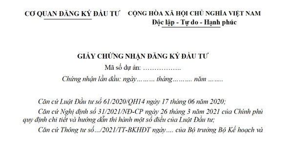 Ví dụ mẫu Giấy đăng ký đầu tư